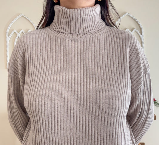 Turtle Neck Knit Sweater Dress